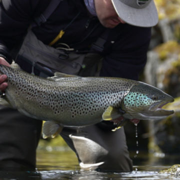Orvis Week in Iceland with Fish Partner -  image number 1