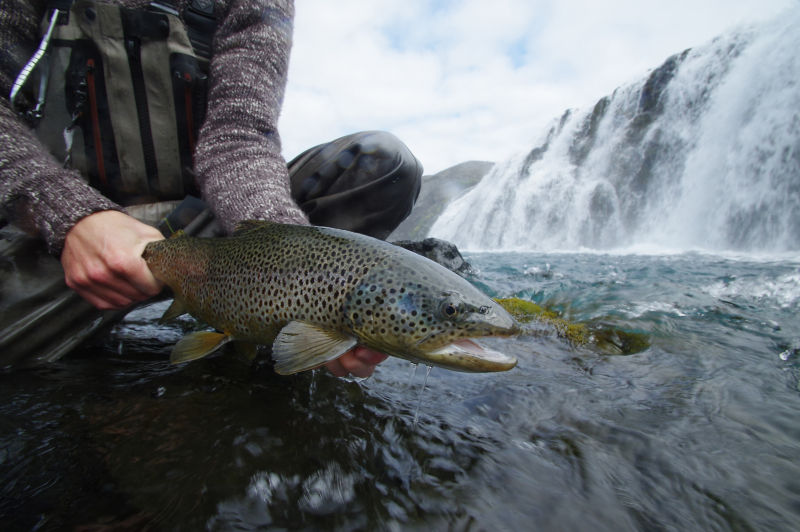 Orvis Week In Iceland With Fish Partner At Highland Lodge - 