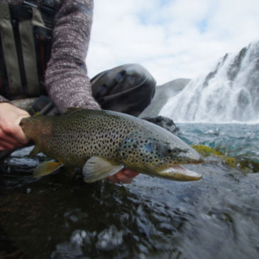 Orvis Week in Iceland with Fish Partner - 
