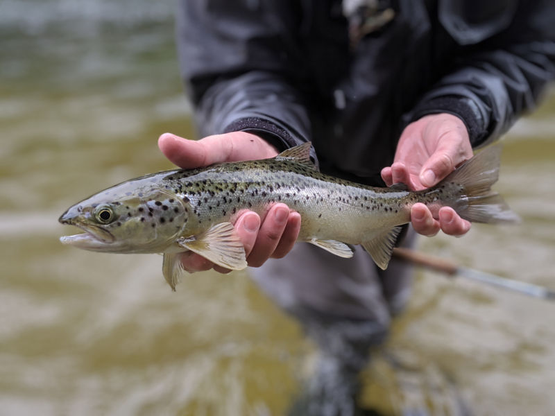 Weatherby&rsquo;s, ME -  image number 3