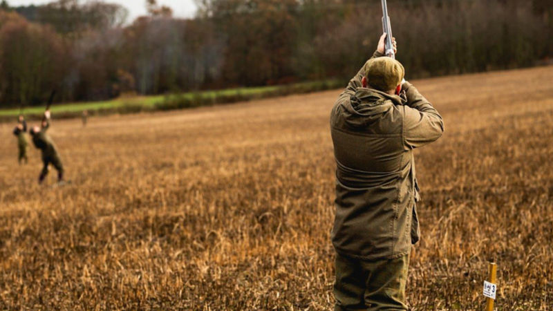 Craigsanquhar -  image number 4