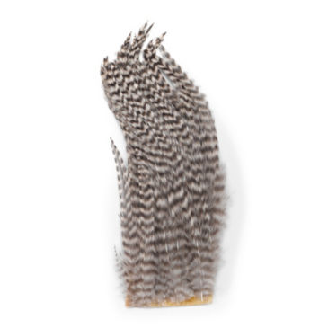 Bugger Hackle Patches - 