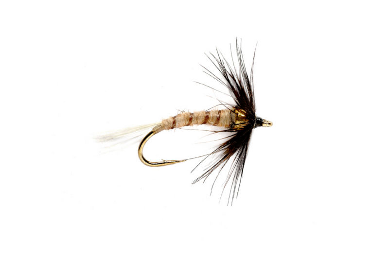 Bead Head Flymph - Hendrickson - 