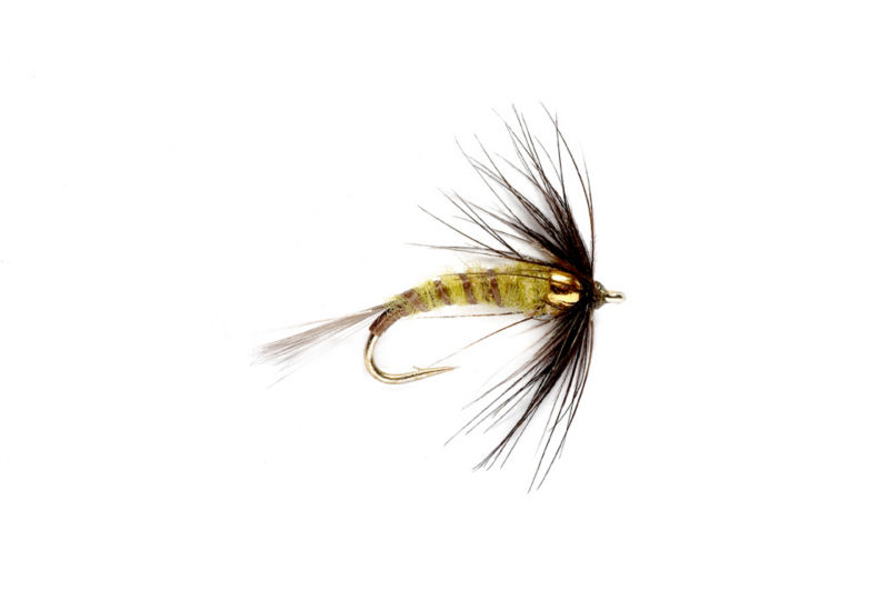 Bead Head Flymph - BWO - 