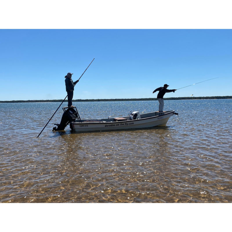 Dorados on the Fly -  image number 1