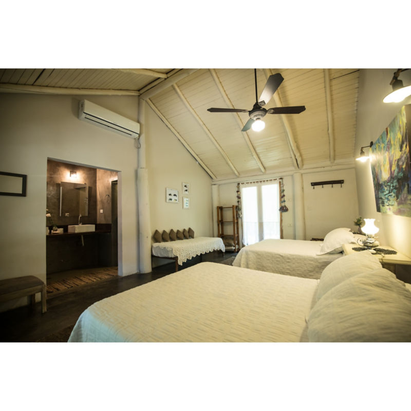 Dorados on the Fly -  image number 2