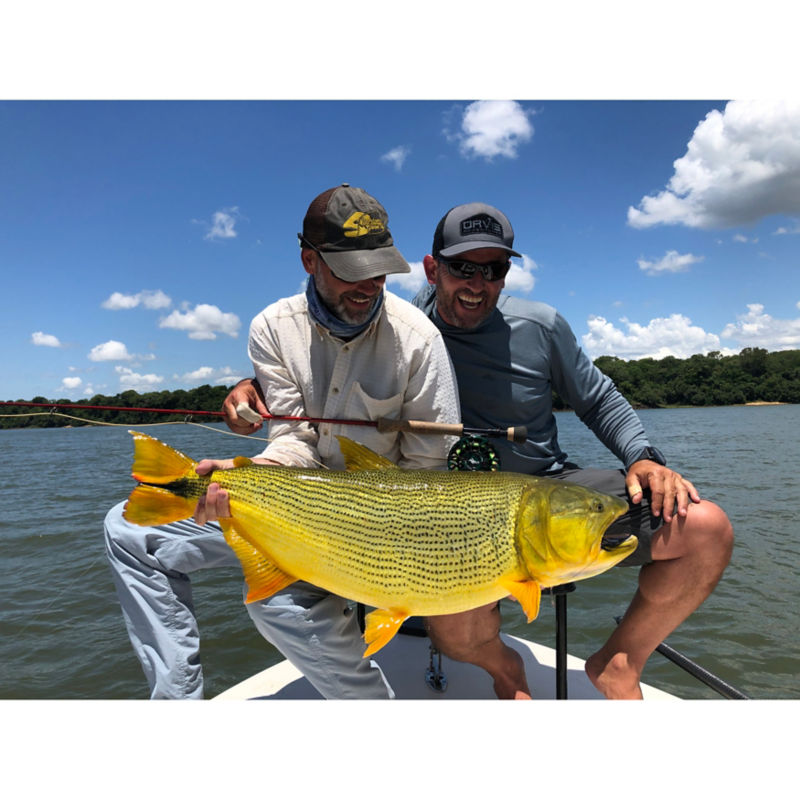 Dorados on the Fly -  image number 3