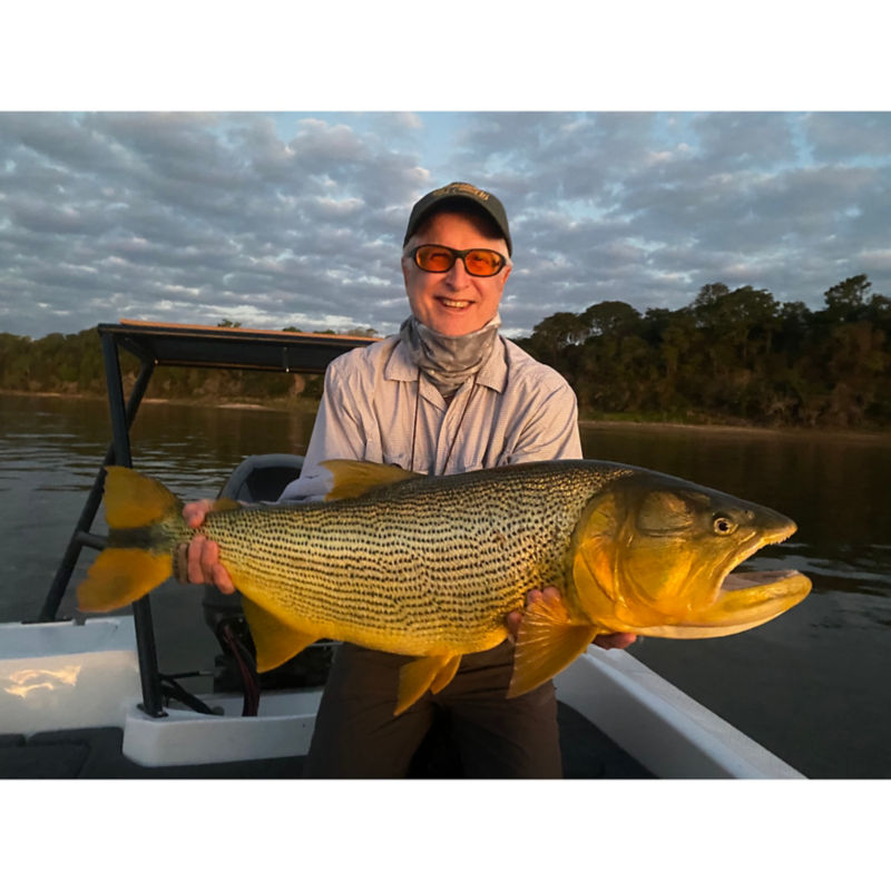 Dorados on the Fly -  image number 5