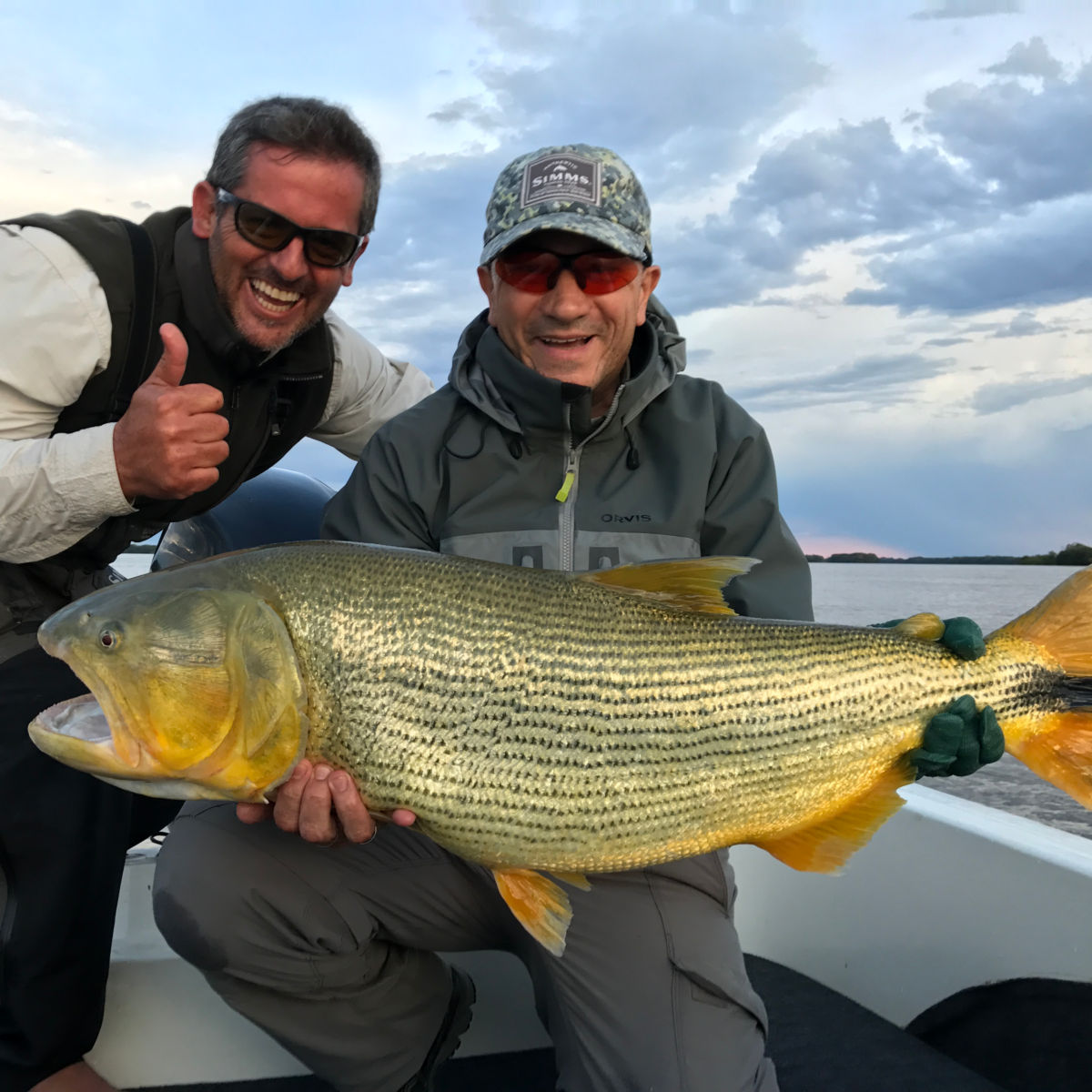 Dorados on the Fly - image number 0