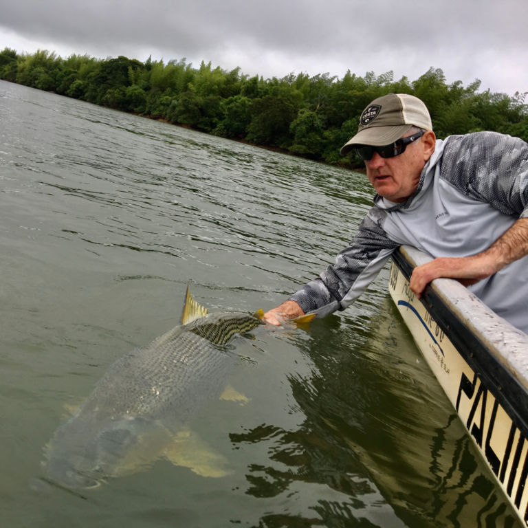 Dorados on the Fly -  image number 2