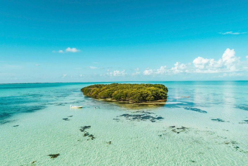 Belize Bonefish Bonanza - 