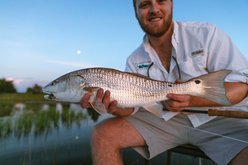 Peter Lawson-Johnston, SC -  image number 1