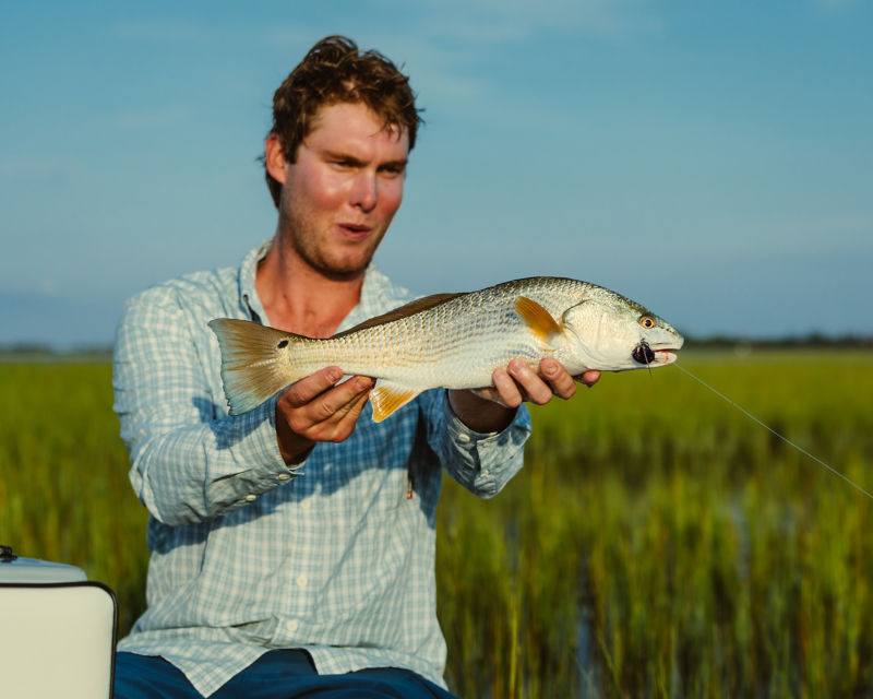 Peter Lawson-Johnston, SC -  image number 3