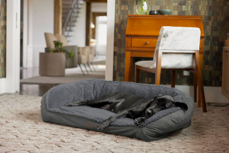 A black lab asleep on a gray bolster dog bed