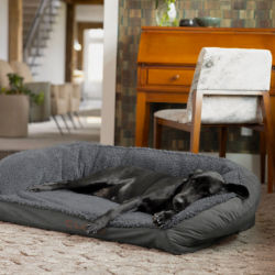 A black lab asleep on a gray bolster dog bed
