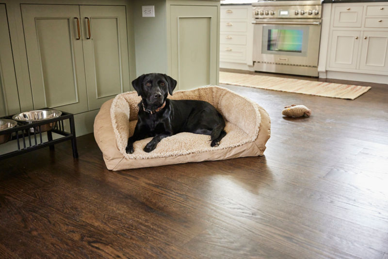 A black dog lies on a tan bolster dog bed on a dark wooden floor.