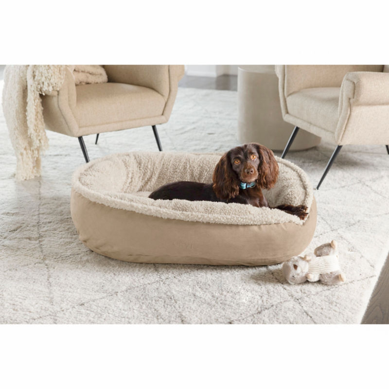 A brown dog laying down on a round memory foam dog bed.
