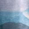Women's drirelease® Printed Dolman Tee - LAKE BLUE MOUNTAINSCAPE