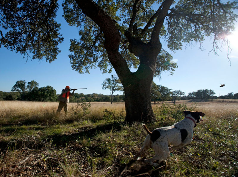 Joshua Creek Ranch, TX -  image number 0
