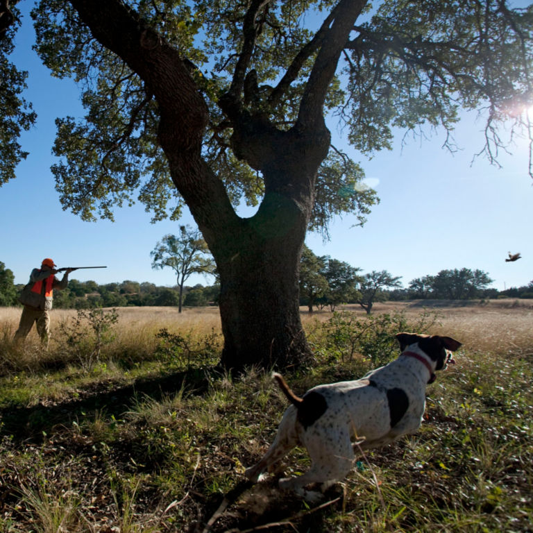 Hunt the Texas Hill Country with Shooting Sportsman Magazine and Orvis at Joshua Creek Ranch -  image number 1