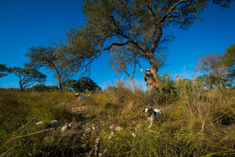 Joshua Creek Ranch, TX -  image number 2