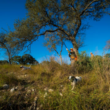 Hunt the Texas Hill Country with Shooting Sportsman Magazine and Orvis at Joshua Creek Ranch - image number 3
