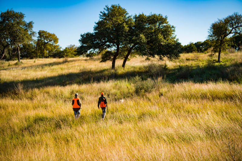 Joshua Creek Ranch Specialty Wingshooting Trip | Orvis