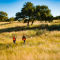 Joshua Creek Ranch, TX -  image number 3
