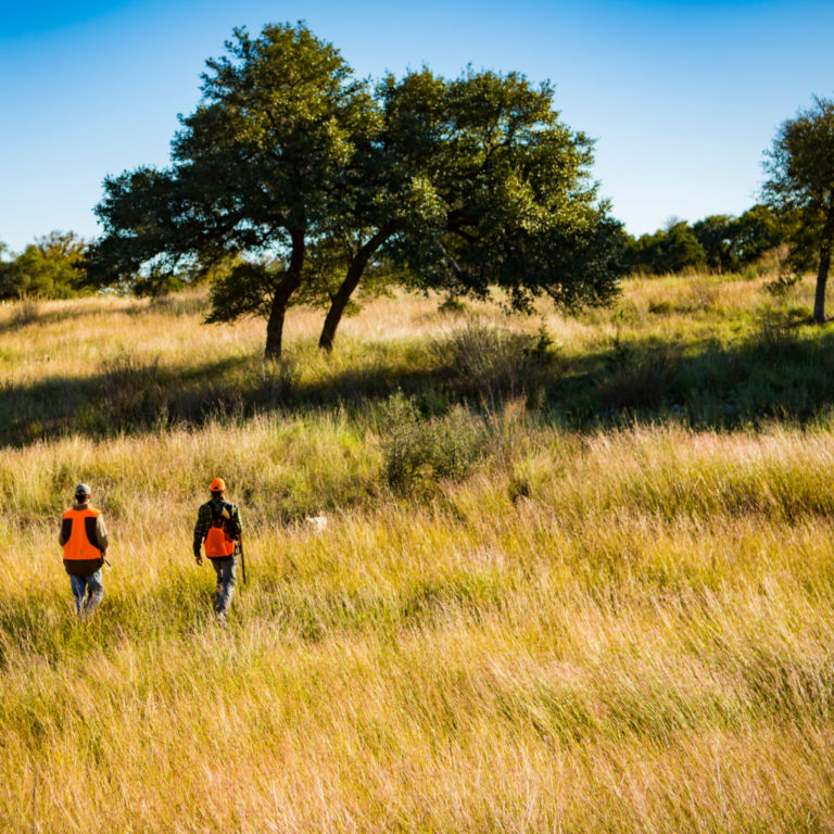 Hunt the Texas Hill Country with Shooting Sportsman Magazine and Orvis at Joshua Creek Ranch -  image number 0