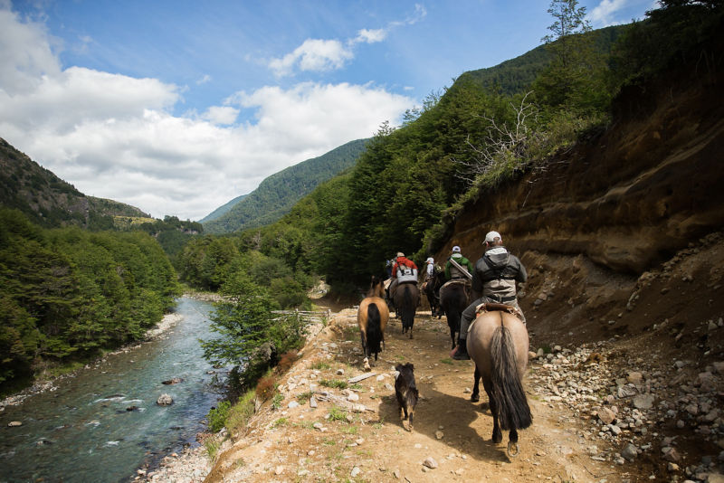 A group of people ride horses along a river embankment.