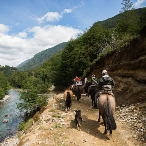 A group of people ride horses along a riverside embankment.