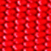Orvis Woven Dog Leash - RED