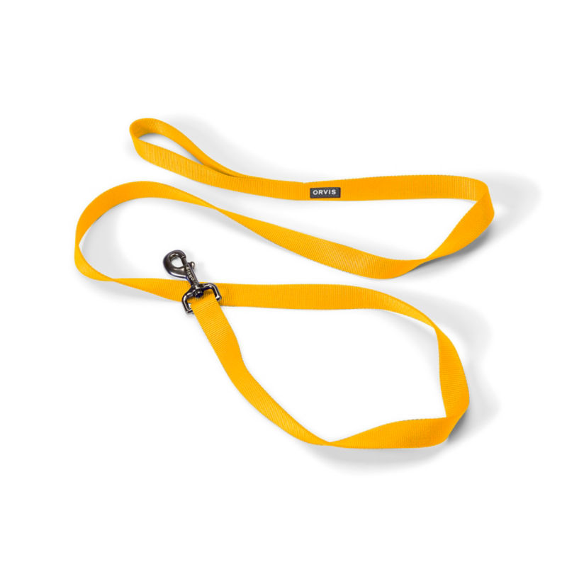 Personalized Side-Release Buckle Collar & Leash - GOLDENROD image number 1