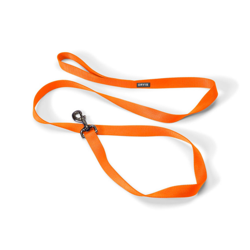Personalized Side-Release Buckle Collar & Leash - BLAZE image number 1