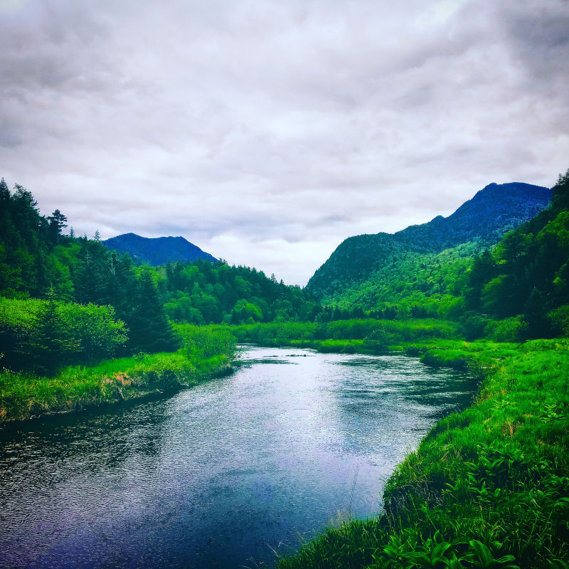 Ken Kalil, NY -  image number 3