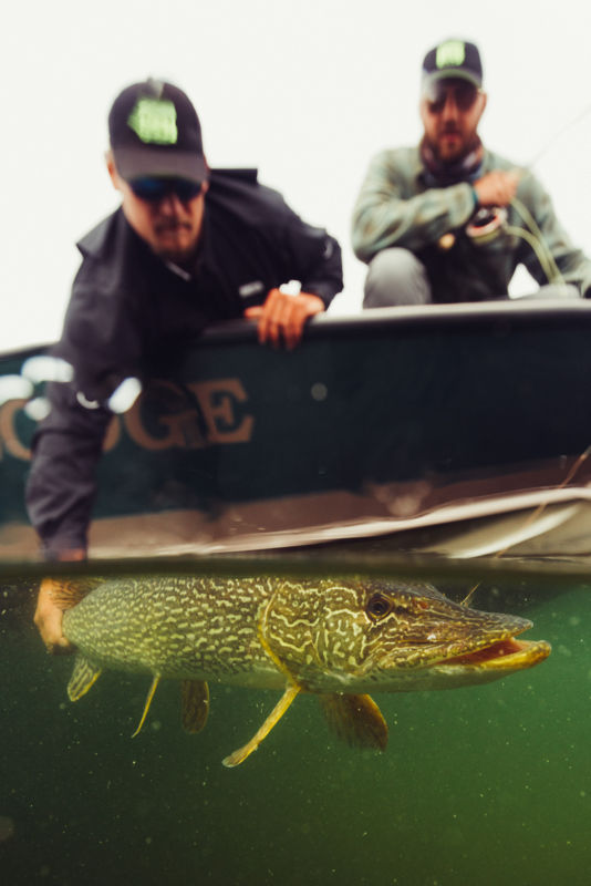 Wollaston Lake Lodge -  image number 5