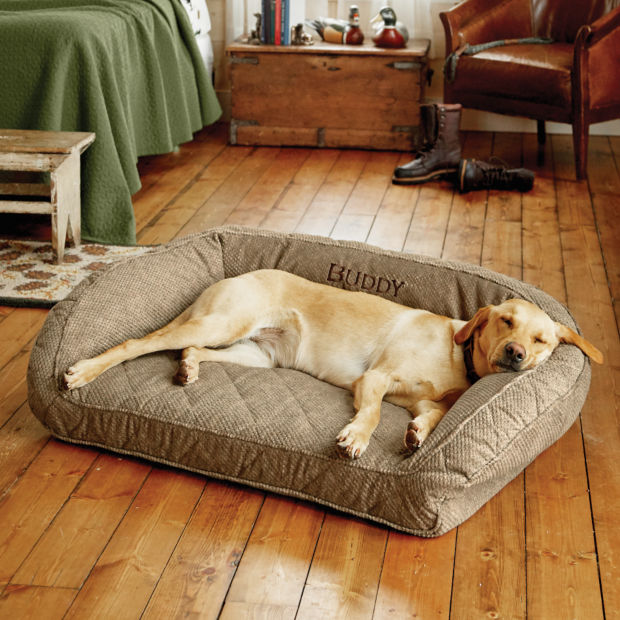 Yellow lab asleep on an Orvis bolster dog bed in a warm bedroom