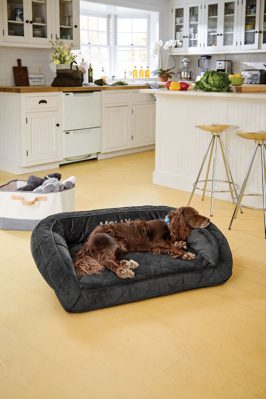 A brown dog laying on a bolster dog bed with the name Molly embroidered on it