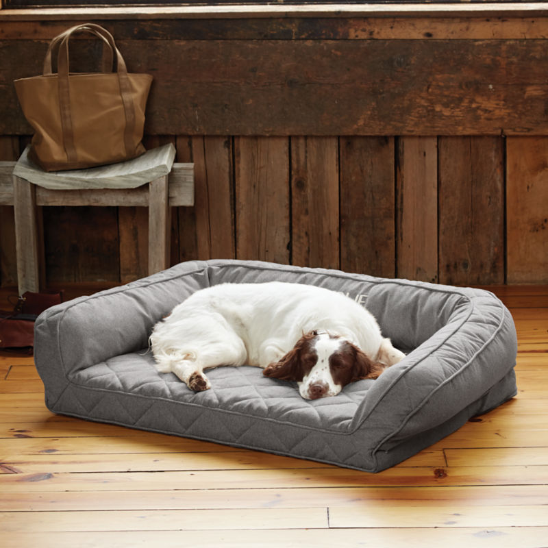 A brown and white setter lays curled in an Orvis Bolster Bed.