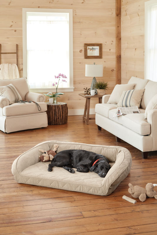 A dog asleep on a dog bed in a living room