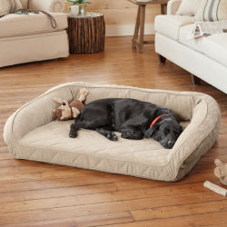 A dog asleep on a dog bed in a living room