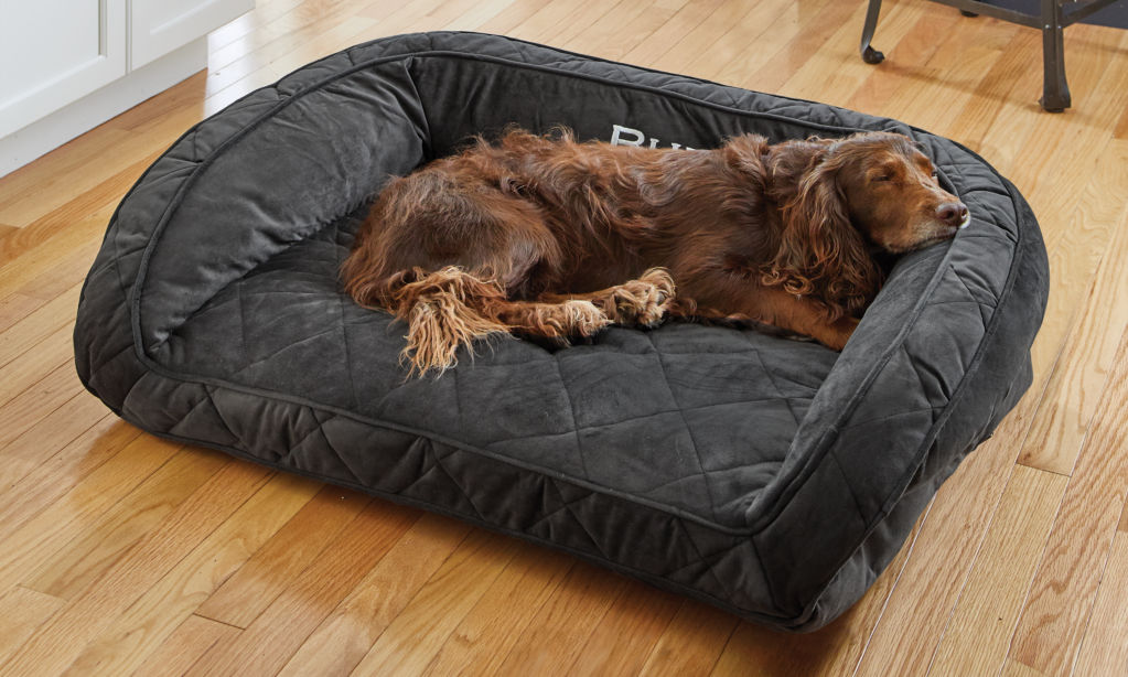 A red spaniel lays on a black microfiber dog bed embroidered with the name Buddy.