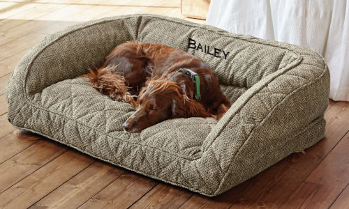 A dog in a comfortfill-eco dog bed.