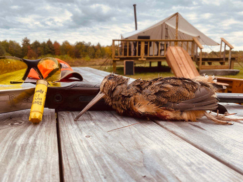 Michael Browning, ME - 