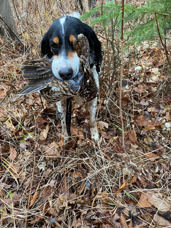 Michael Browning, ME -  image number 1