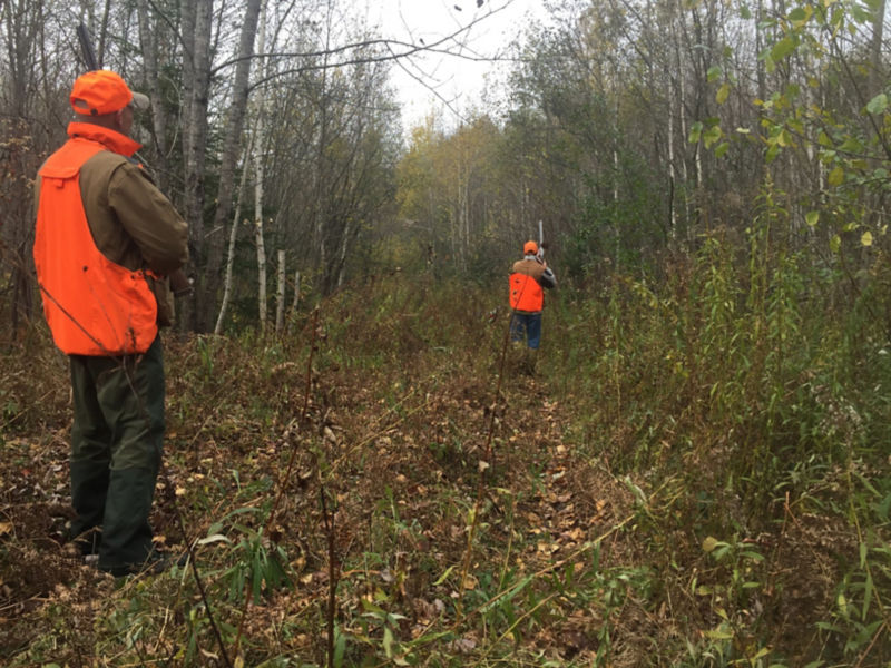 Michael Browning, ME -  image number 2