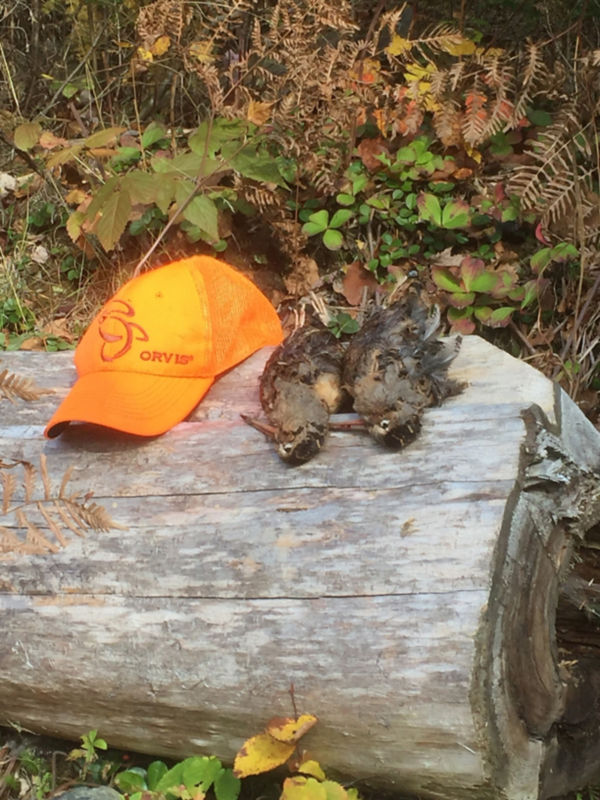 Michael Browning, ME -  image number 4