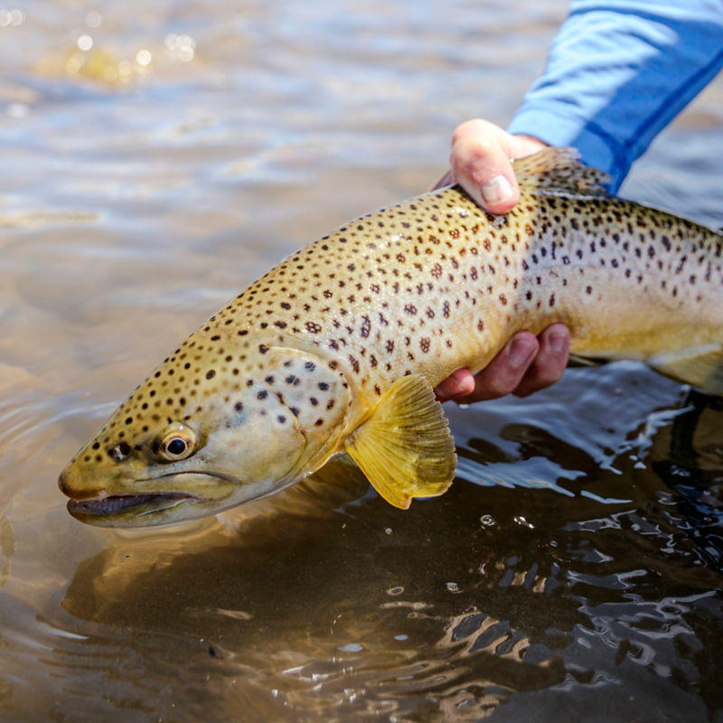 Healing Waters Lodge, MT -  image number 5