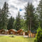 Skeena River Lodge -  image number 5