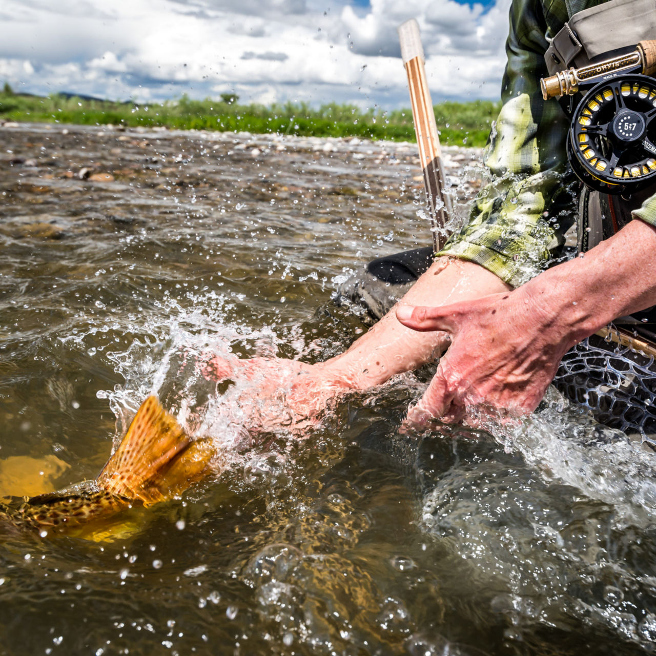 Montana Angler Fly Fishing -  image number 1